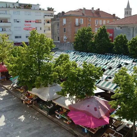 Silvia * Zadar
