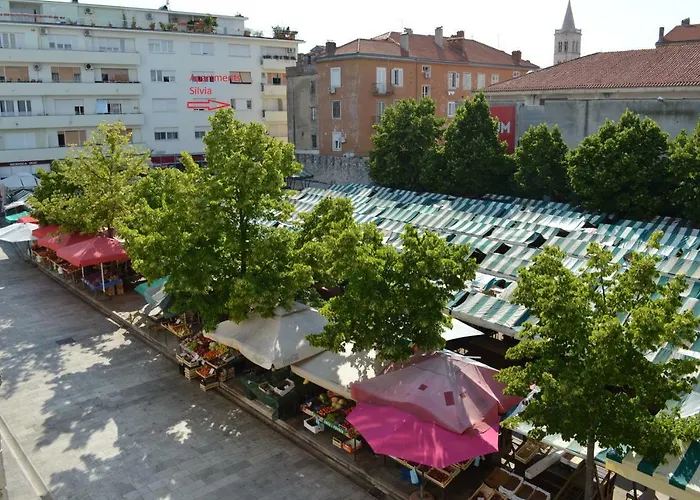 Silvia * Zadar
